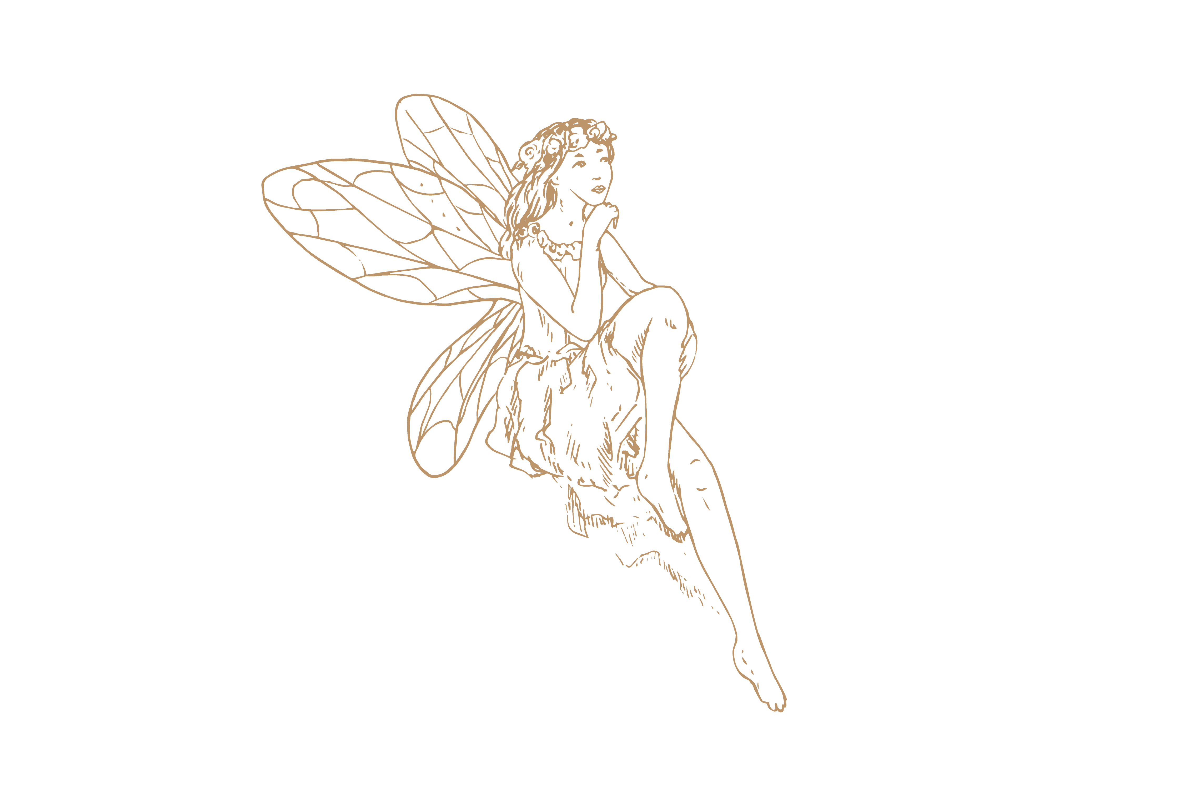 fairy1 fairy1